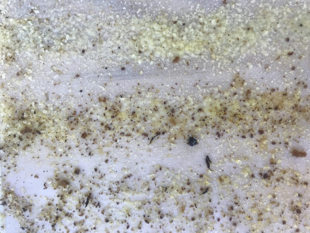 HoneyRoad project image