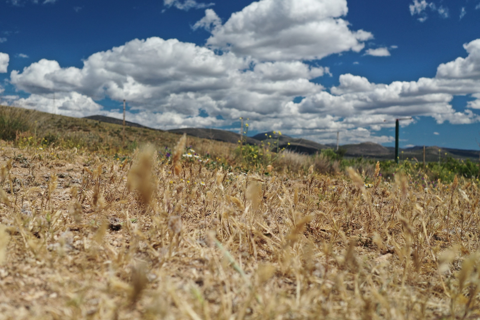 For land users and local initiatives