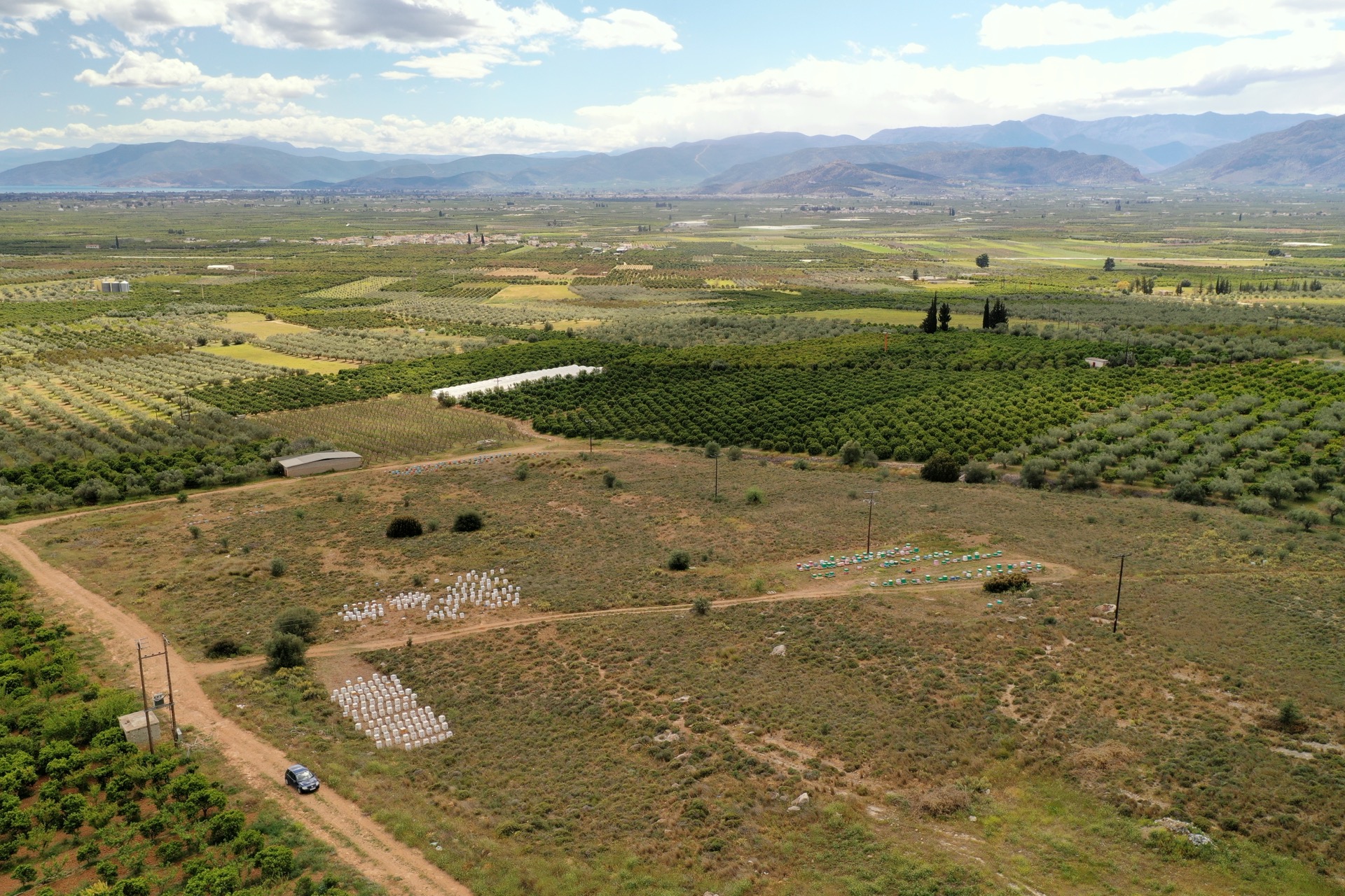 Understanding nature in a changing world